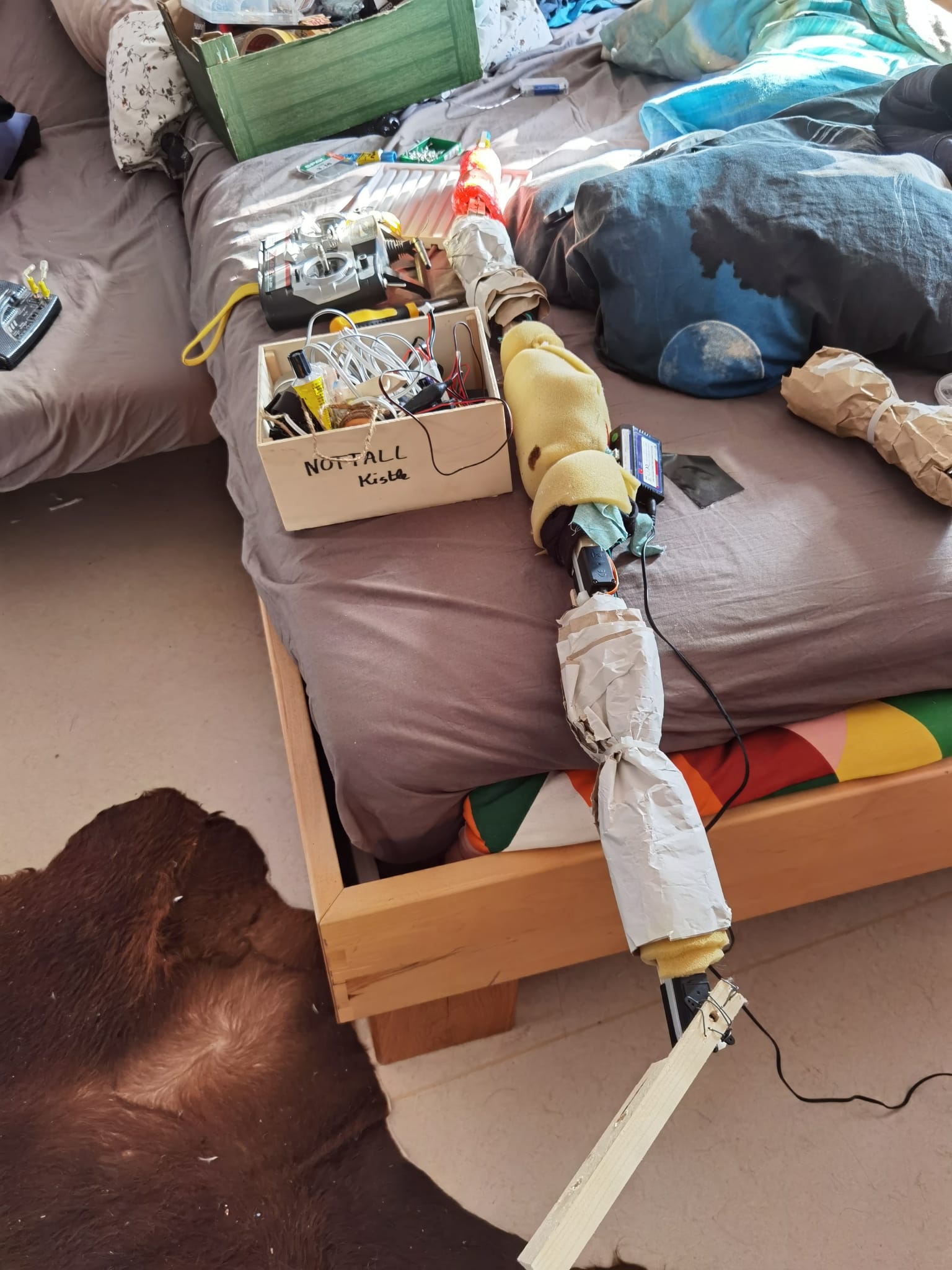 Elektrischer Wurm – Gesamteindruck